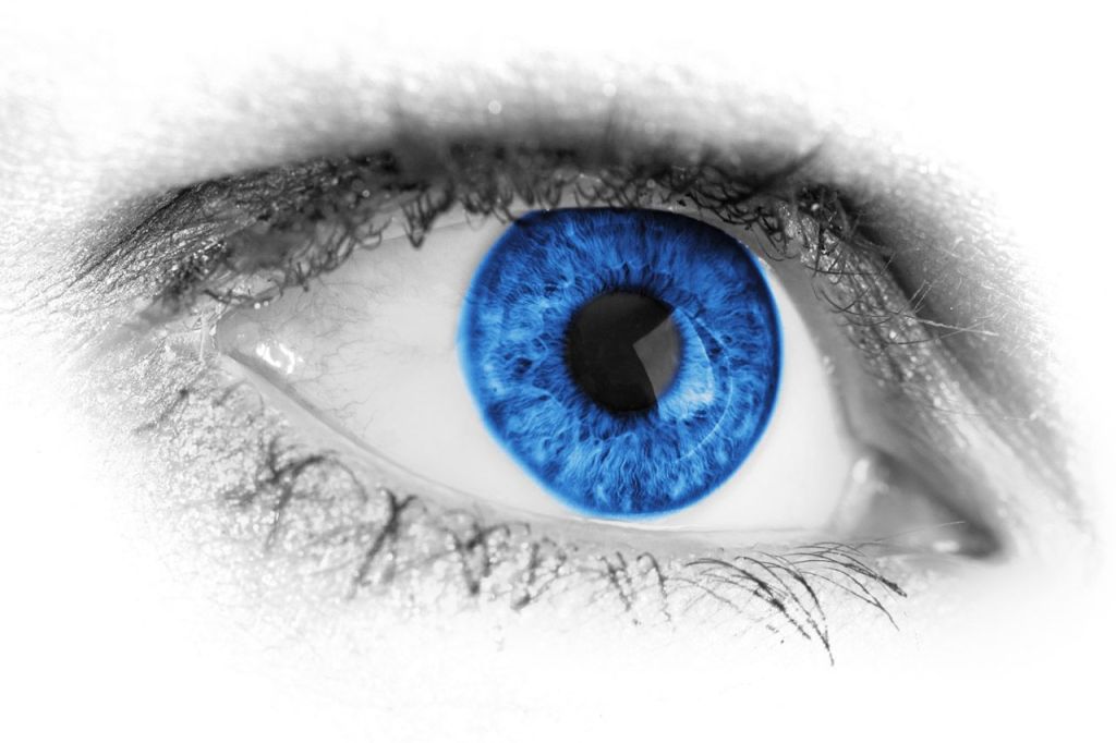 Un ojo en blanco y negro con la pupila de un color azul medio profundo